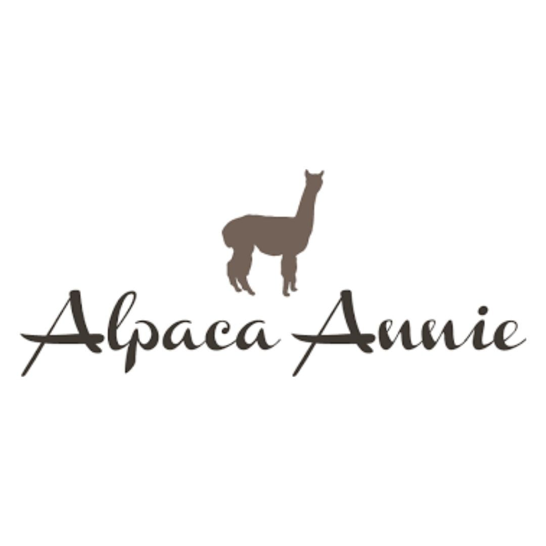 Alpaca Annie Cakeshop Media Dover Digital Marketing Agency